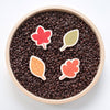 LIMITED! Autumn Leaves 4 pc. Shape Block Set