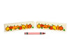 LIMITED! Pumpkin Patch 2 pc. Gem Block Set