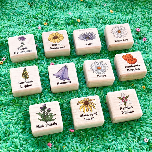 Wildflowers of North America Wooden Matching Game - 24 pc Set
