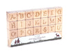 28 pc. Nature Letter Engraved Alphabet Blocks