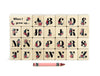 27 pc. Floral Letters Color Alphabet Blocks