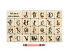 27 pc. Picture Letters Color Alphabet Blocks