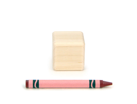 1x1 Cube Unit Building Block