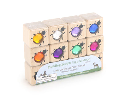 12 pc. Twelve Little Ladybugs Gem Blocks