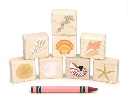 LIMITED! Little Seashells 8 pc. Building Block Set