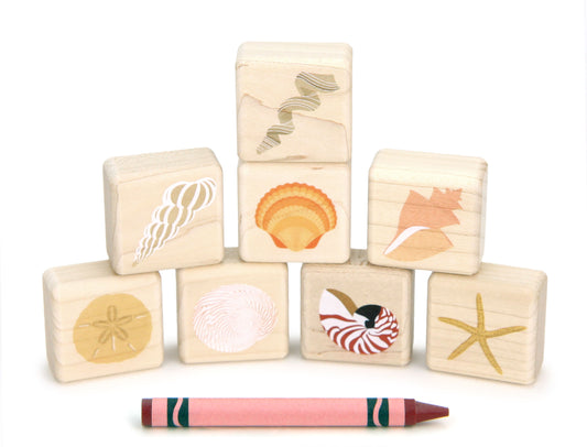LIMITED! Little Seashells 8 pc. Building Block Set