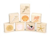 LIMITED! Little Seashells 8 pc. Building Block Set