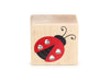 Ladybug Love Bug Message Block
