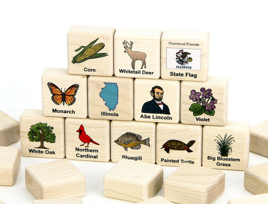 Illinois Wooden Matching Game - 24 pc Set