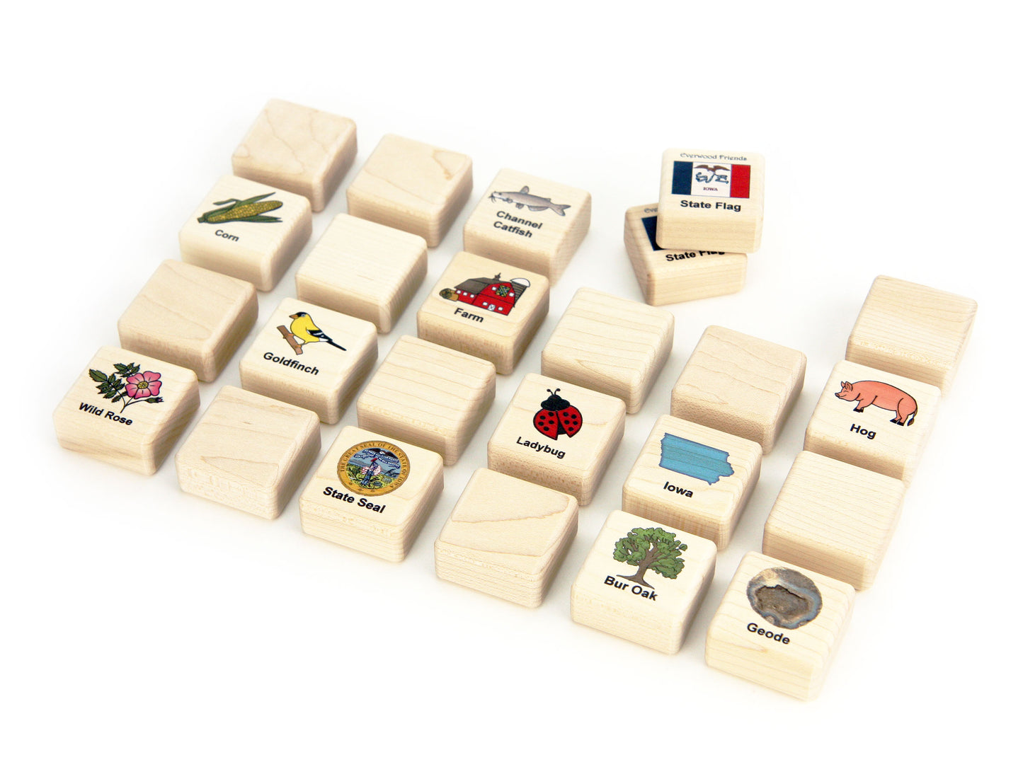 Iowa Wooden Matching Game - 24 pc Set