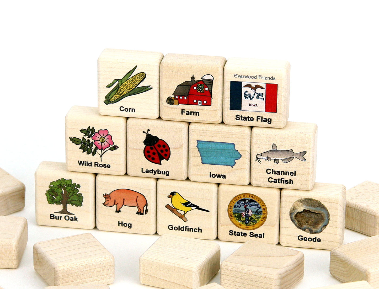 Iowa Wooden Matching Game - 24 pc Set