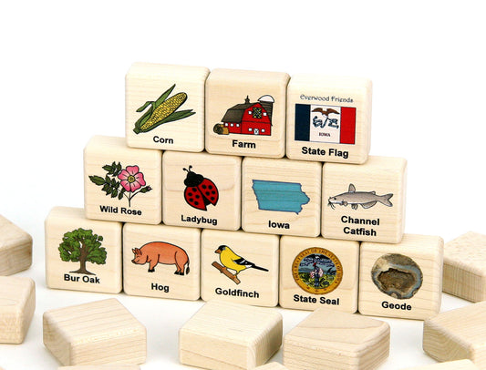 Iowa Wooden Matching Game - 24 pc Set