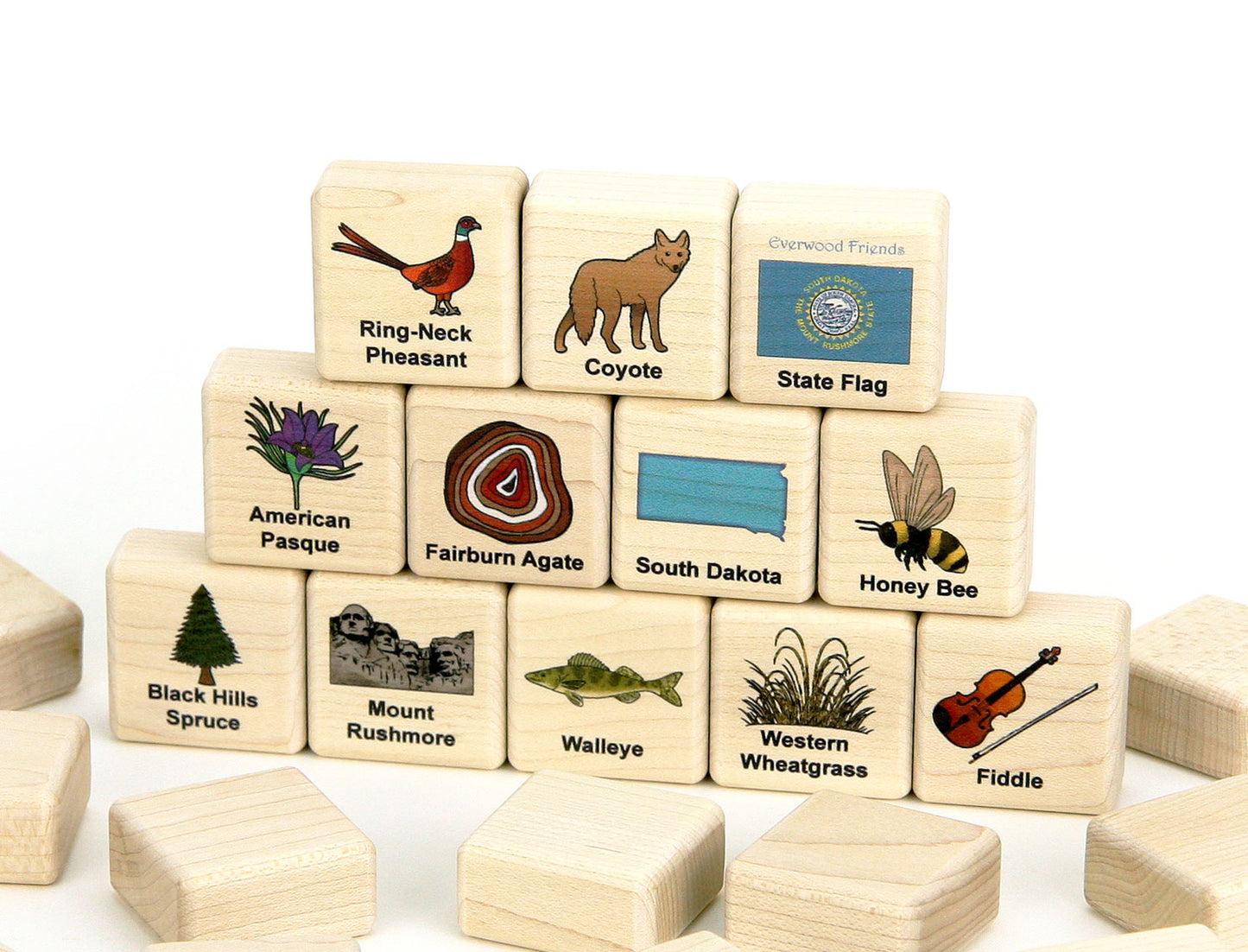 South Dakota Wooden Matching Game - 24 pc Set