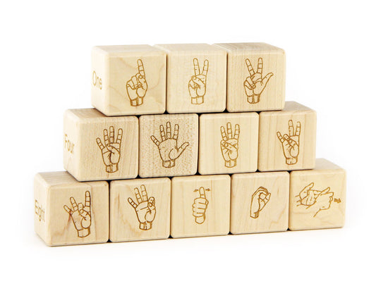 12 pc. Braille-Sign Language-Number Blocks