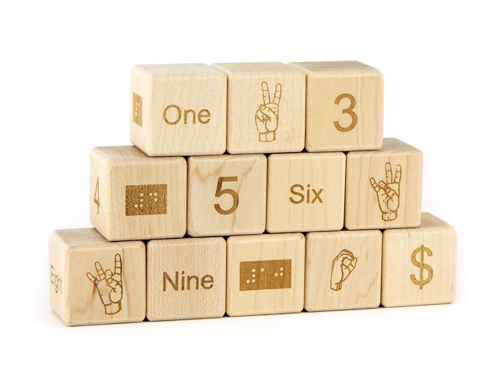 12 pc. Braille-Sign Language-Number Blocks