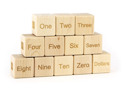12 pc. Braille-Sign Language-Number Blocks