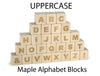 28 pc. Uppercase Engraved Alphabet Blocks