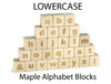 28 pc. Lowercase Engraved Alphabet Blocks