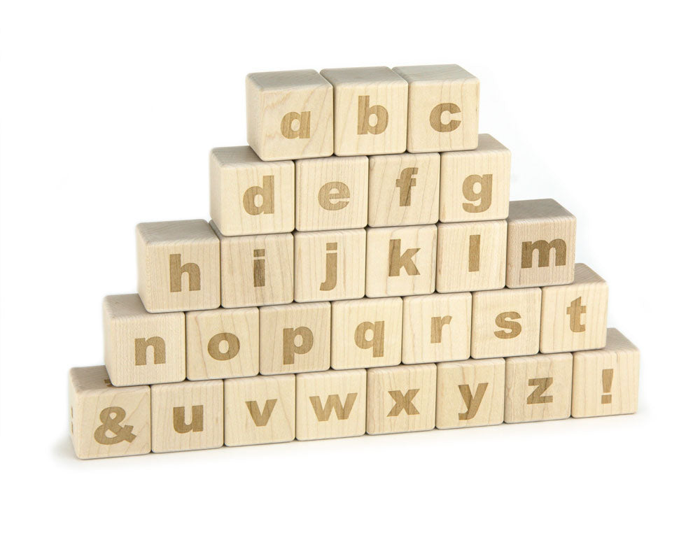 28 pc. American Sign Language & Braille Alphabet Blocks