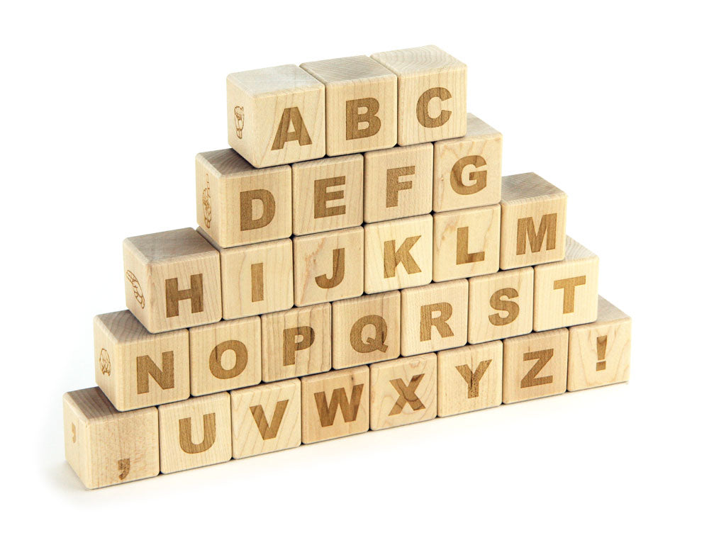 28 pc. American Sign Language & Braille Alphabet Blocks