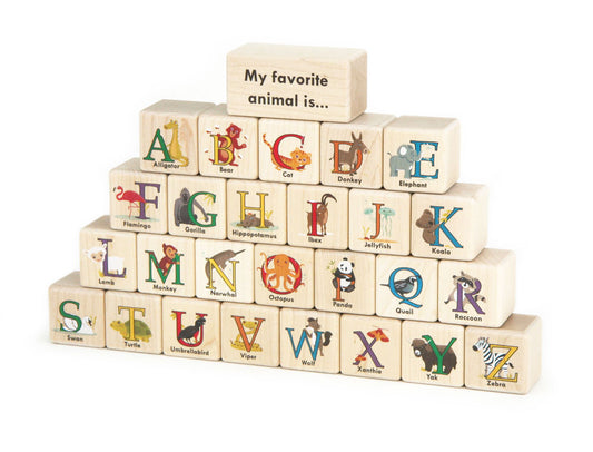 27 pc. Animal Letters Color Alphabet Blocks