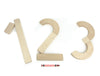 17 pc. Maple Learning Sticks Letter Number & Shape Building Block Set