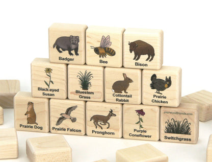 American Prairie Wildlife Wooden Matching Game - 24 pc Set