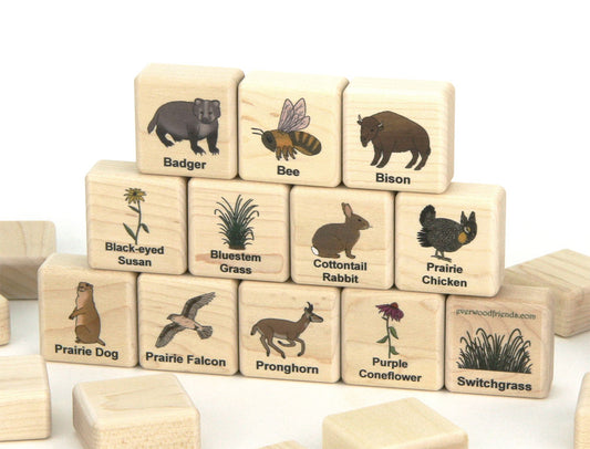 American Prairie Wildlife Wooden Matching Game - 24 pc Set