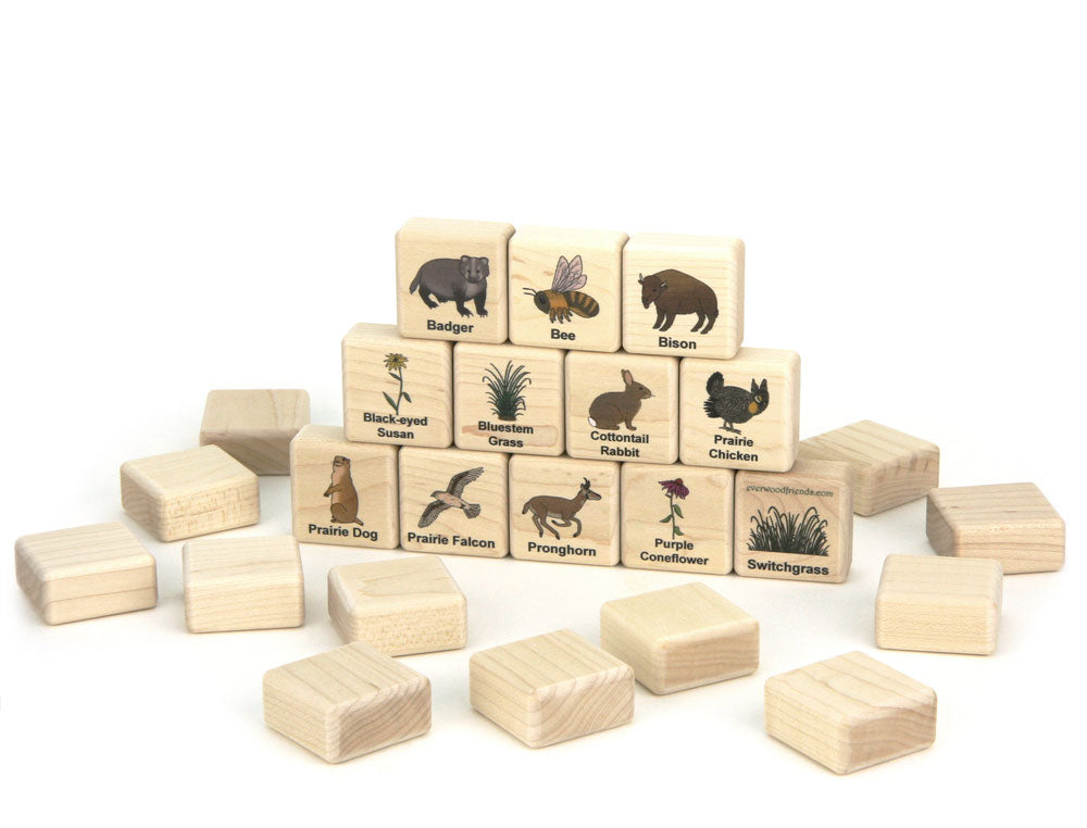 American Prairie Wildlife Wooden Matching Game - 24 pc Set