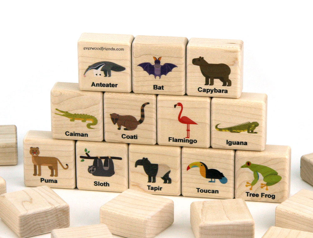 Rainforest Animals Wooden Matching Game - 24 pc Set