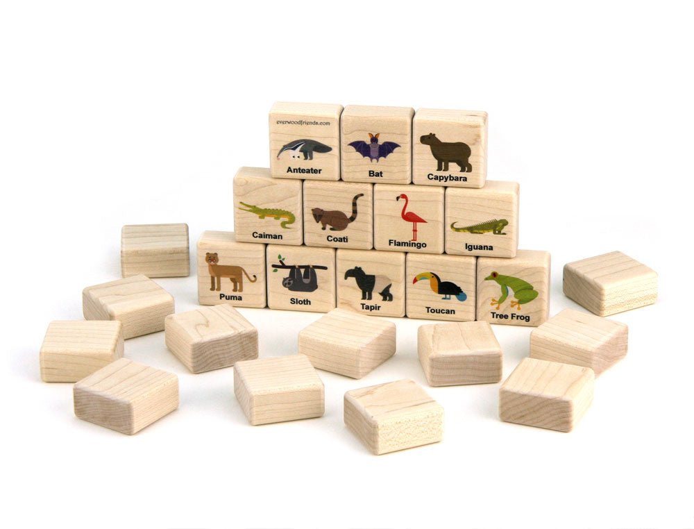 Rainforest Animals Wooden Matching Game - 24 pc Set