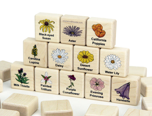 Wildflowers of North America Wooden Matching Game - 24 pc Set