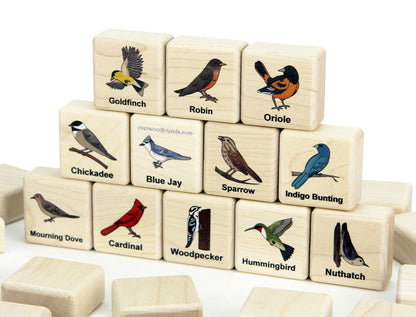 Backyard Birds Wooden Matching Game - 24 pc Set