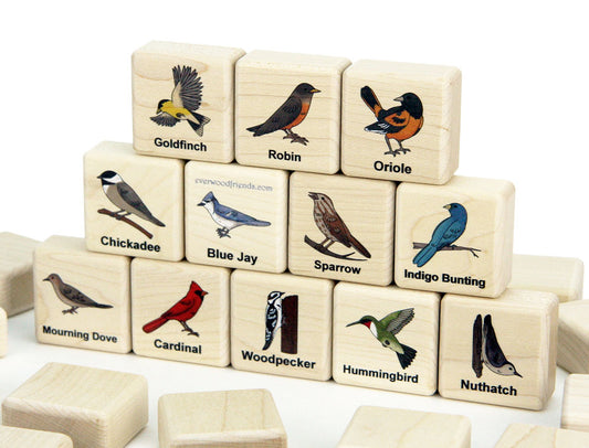 Backyard Birds Wooden Matching Game - 24 pc Set