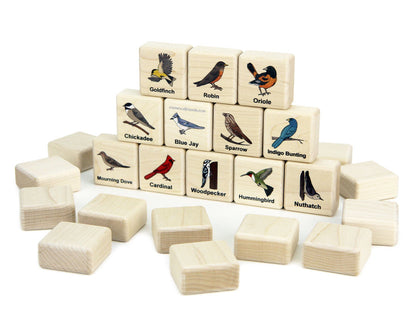 Backyard Birds Wooden Matching Game - 24 pc Set