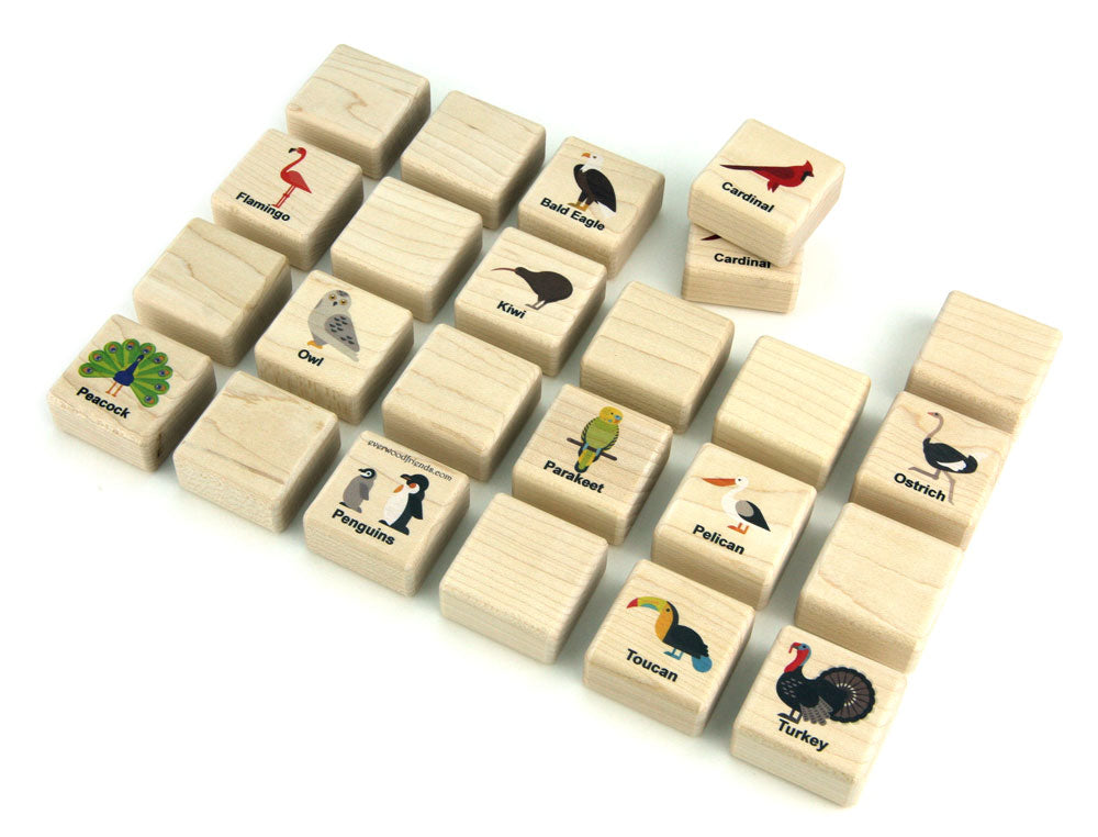 Birds of the World Wooden Matching Game - 24 pc Set