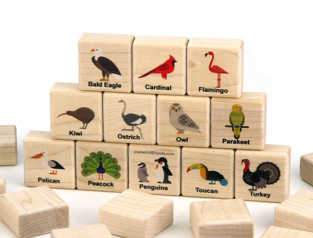 Birds of the World Wooden Matching Game - 24 pc Set