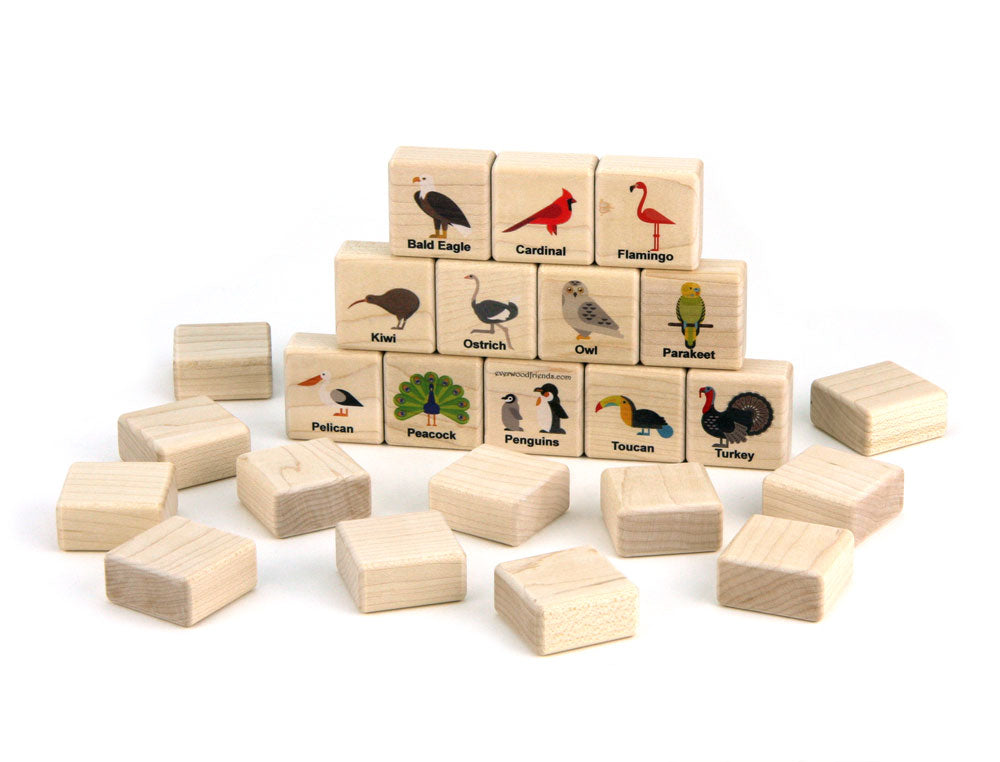 Birds of the World Wooden Matching Game - 24 pc Set