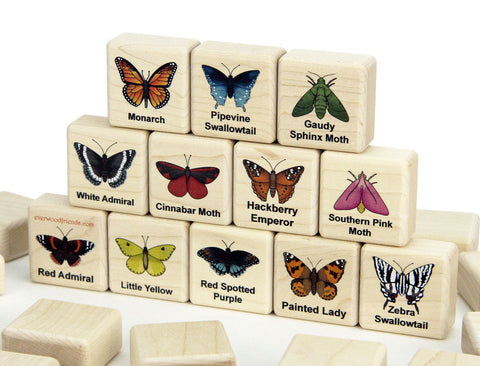 Butterflies & Moths Wooden Matching Game - 24 pc Set