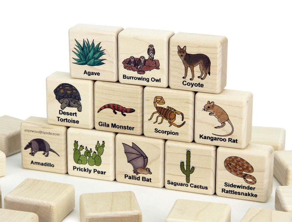 Desert Plants & Animals Wooden Matching Game - 24 pc Set