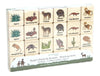 Desert Plants & Animals Wooden Matching Game - 24 pc Set