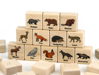 Forest Animals Color Wooden Matching Game - 24 pc Set