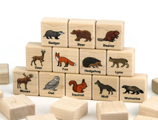 Forest Animals Color Wooden Matching Game - 24 pc Set
