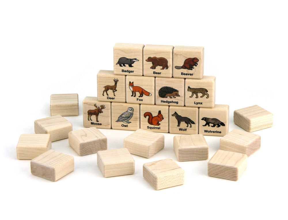 Forest Animals Color Wooden Matching Game - 24 pc Set