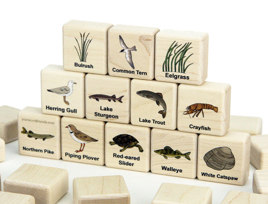 Great Lakes Marine Life Wooden Matching Game - 24 pc Set