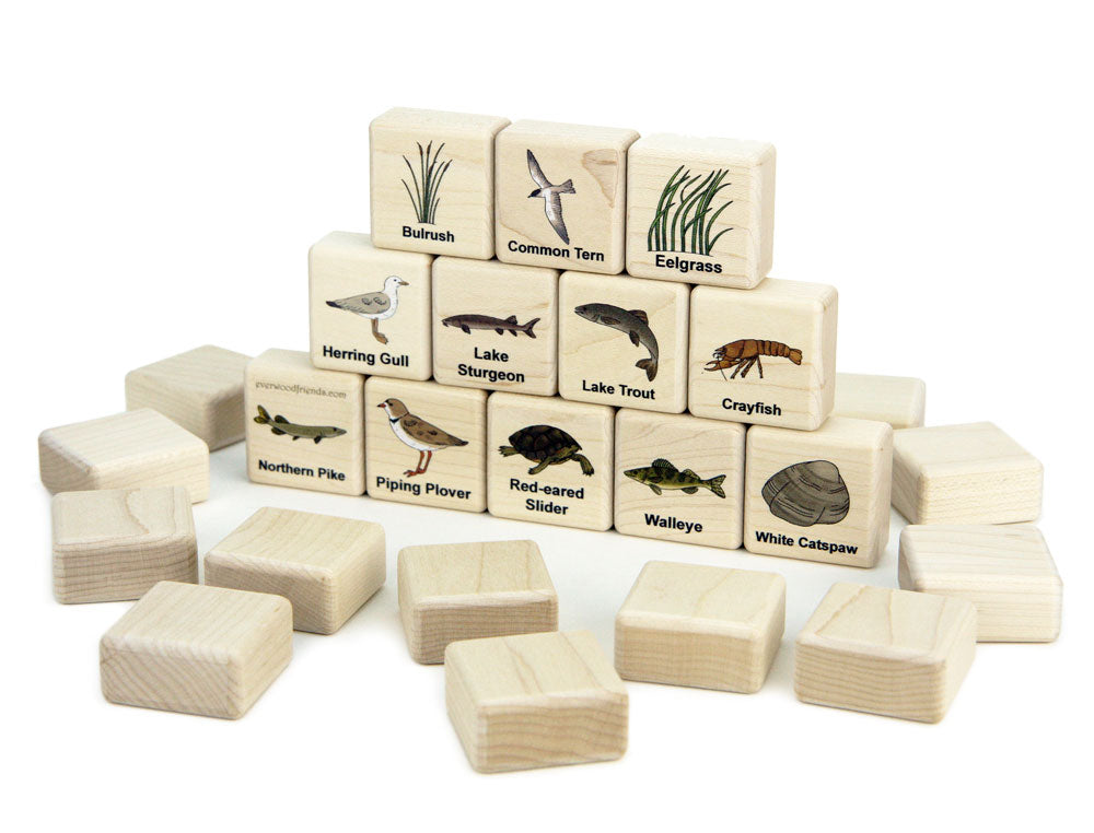 Great Lakes Marine Life Wooden Matching Game - 24 pc Set