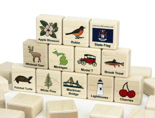 Michigan Wooden Matching Game - 24 pc Set