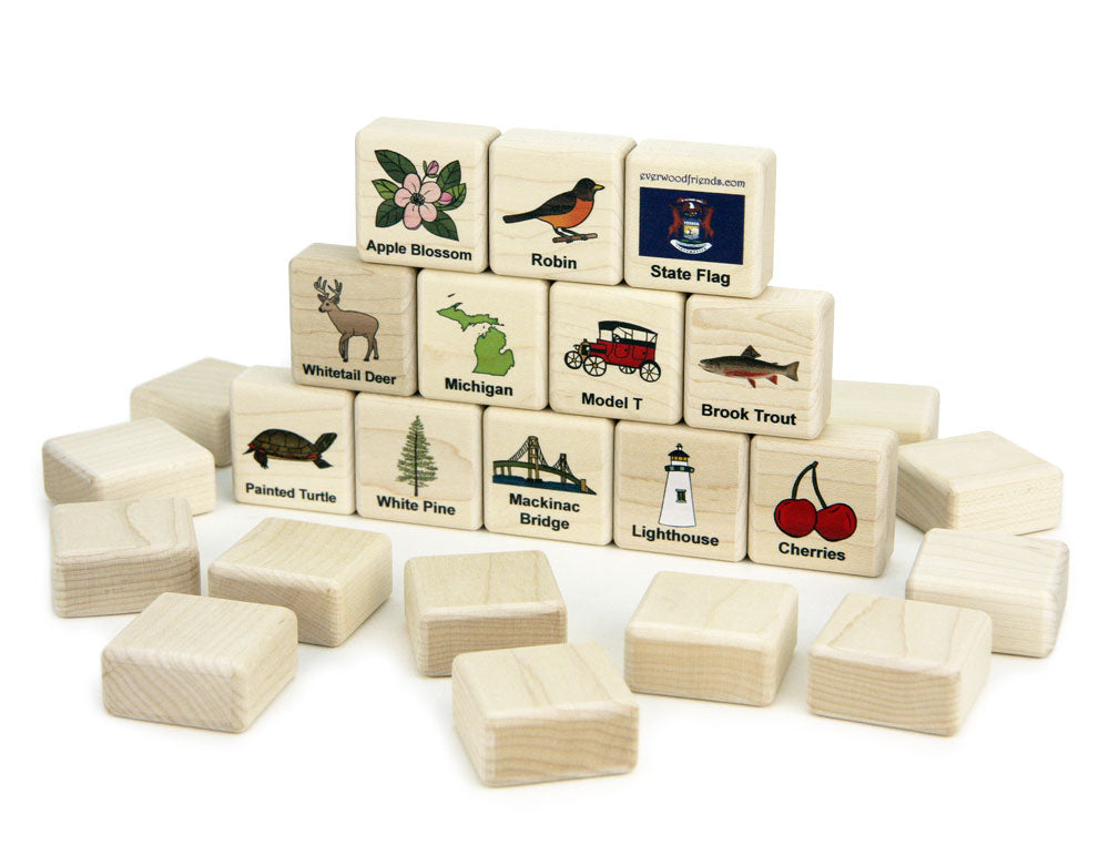 Michigan Wooden Matching Game - 24 pc Set