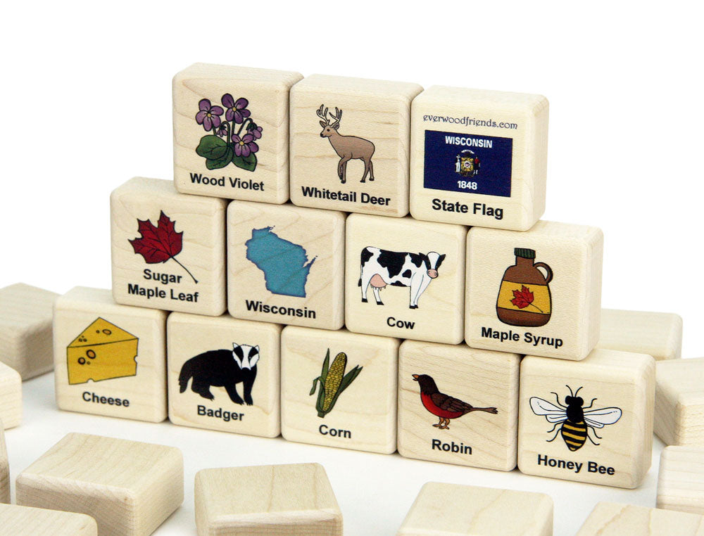 Wisconsin Wooden Matching Game - 24 pc Set