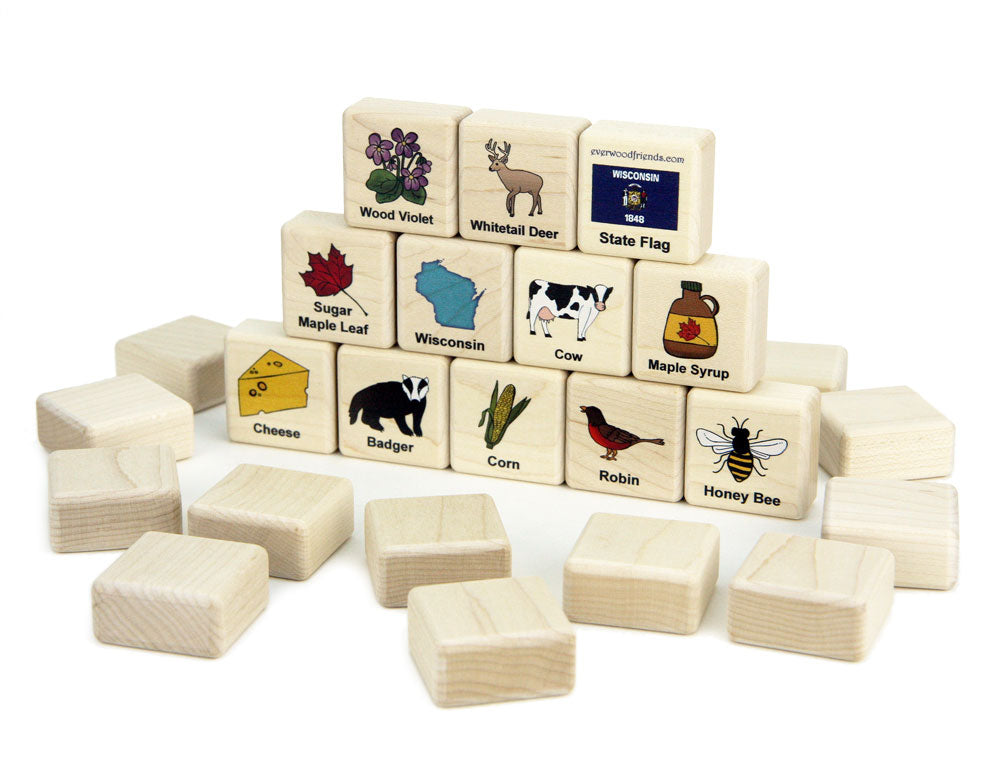 Wisconsin Wooden Matching Game - 24 pc Set